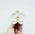 Орхидея Фаленопсис 3D форма  силиконовая - 