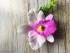 Орхидея Каттлея, форма силиконовая 3D для мыла - Молд для мыла