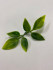 Мини листочки универсальные (10 шт.) зелень искусственная - 