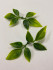 Мини листочки универсальные (10 шт.) зелень искусственная - 