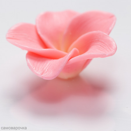 Цветок плюмерии силиконовая форма 3D