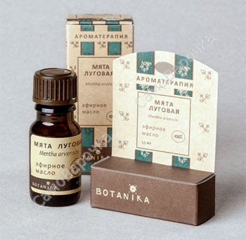 Мята луговая 100% эфирное масло (ботаника)