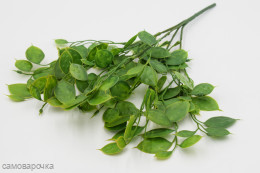 Пеперомия Нина 5 веток Зелень искусственная Пеперомия Нина 5 веток Зелень искусственная