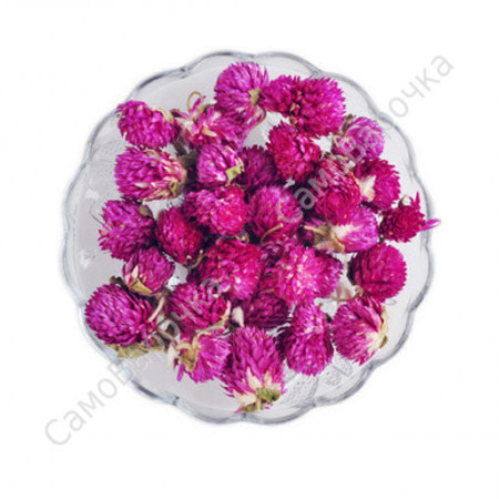 Клевер красный (амаранта) цветки Клевер красный (амаранта) цветки