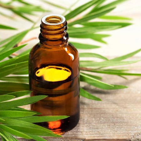 Чайного дерева натуральное эфирное масло