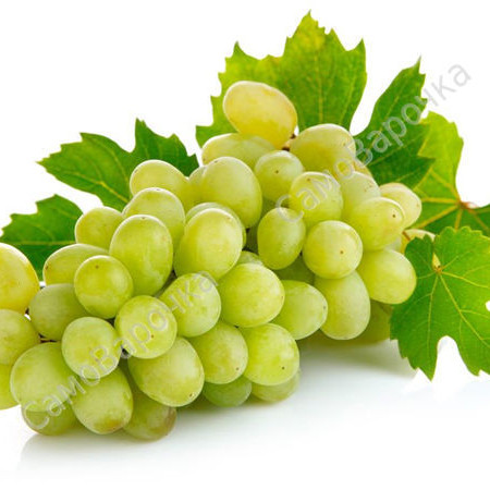 Белый виноград отдушка F Белый виноград отдушка F