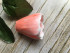 Цветок тюльпана силиконовая форма 3D* - Молд для мыла