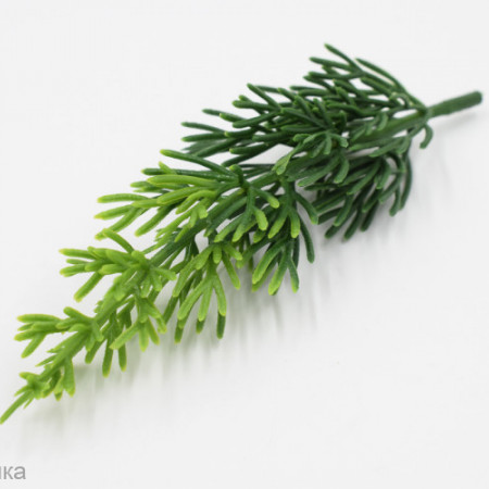 Лист туи Марисса вставки букетные длина 15 см 10 шт.  Лист туи Марисса вставки букетные длина 15 см 10 шт.