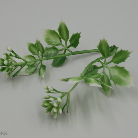 Вставка в букет Каланхоэ Эдди 10 шт.  Вставка в букет Каланхоэ Эдди 10 шт.