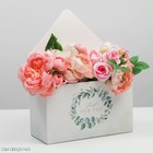 Коробка-письмо Эвкалипт  25*33*10 см