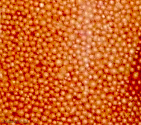 Подарок солнца жемчужины для ванн