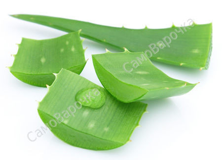 Отдушка " алоэ-вера", водрастворимая Отдушка " алоэ-вера", водрастворимая