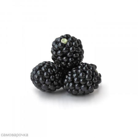 Ежевика Силиконовая форма 3D* Ежевика Силиконовая форма 3D*