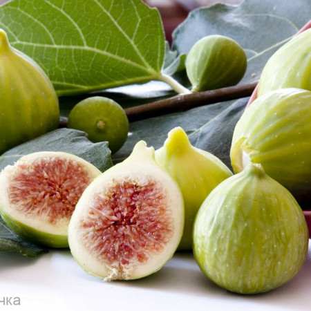 Инжир отдушка F Инжир отдушка F