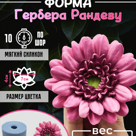 Гербера Рандеву форма силиконовая 3D Гербера Рандеву форма силиконовая 3D