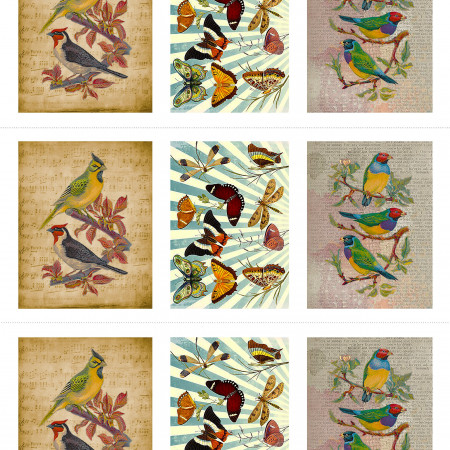 Птицы водорастворимая бумага с картинкой подборка №21 Птицы водорастворимая бумага с картинкой подборка №21