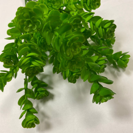 Кустик суккулента в ассортименте Зелень искусственная