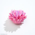 Астра Миледи Cиликоновая форма 3D - Молд для мыла
