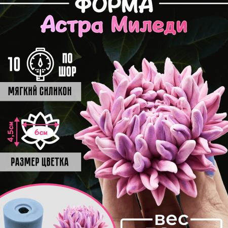 Астра Миледи Cиликоновая форма 3D Астра Миледи Cиликоновая форма 3D