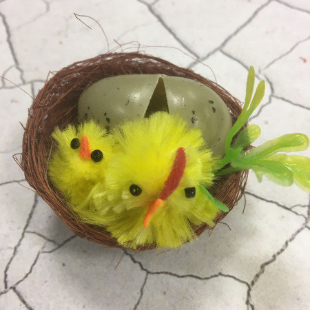 Гнездышко с птенцами