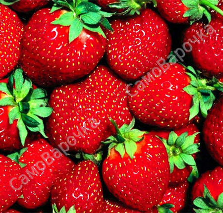 Клубника Отдушка косметическая F Клубника Отдушка косметическая F