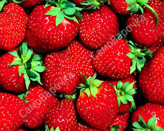 Клубника Отдушка косметическая F - Клубника Отдушка косметическая F -