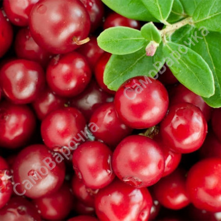 Отдушка Брусника Отдушка Брусника