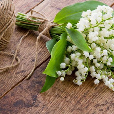 Ландыш, отдушка косметическая Ландыш, отдушка косметическая