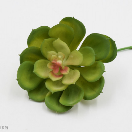 Эхеверия Моника Зелень искусственная