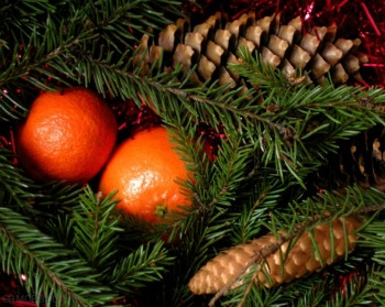 Елка и мандарины отдушка R Елка и мандарины отдушка R