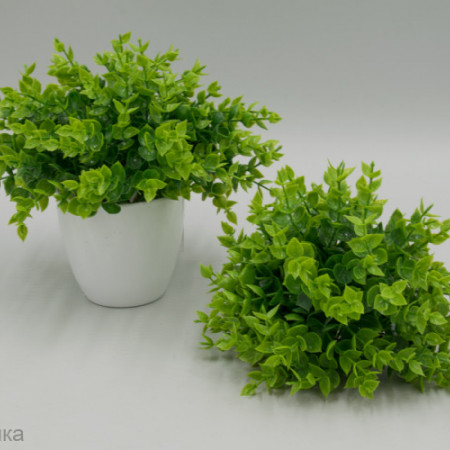 Самшит Лайвет зелень искусственная Самшит Лайвет зелень искусственная