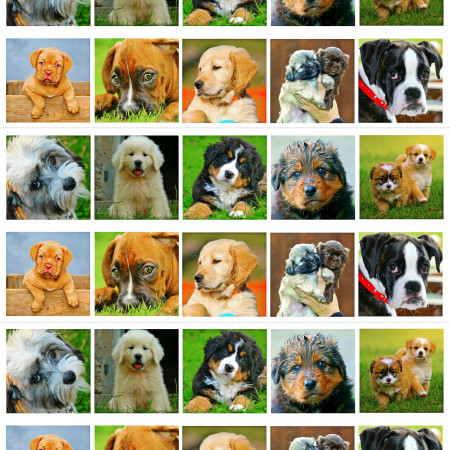 Щенки водорастворимая бумага с картинкой подборка №34