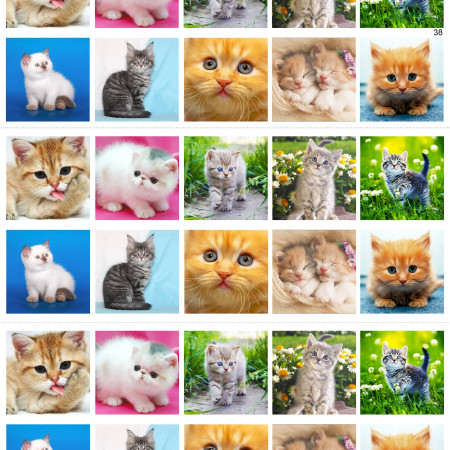 Котята водорастворимая бумага с картинкой подборка №38 Котята водорастворимая бумага с картинкой подборка №38