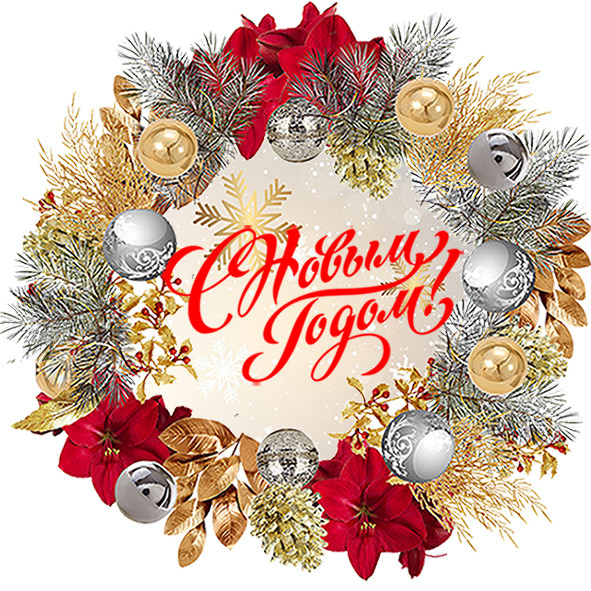 С Новым годом №  17 круг - 