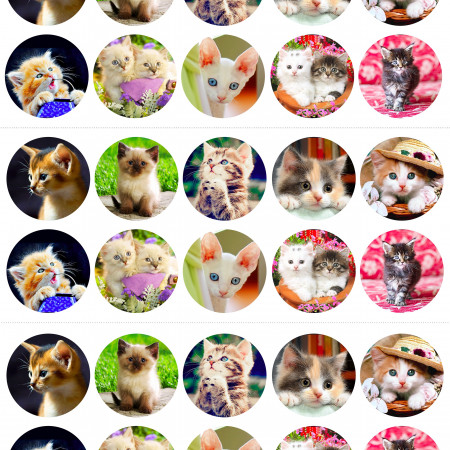 Котята водорастворимая бумага с картинкой подборка №39