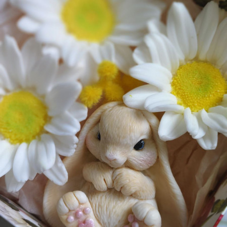 Ушастик форма силиконовая 3D