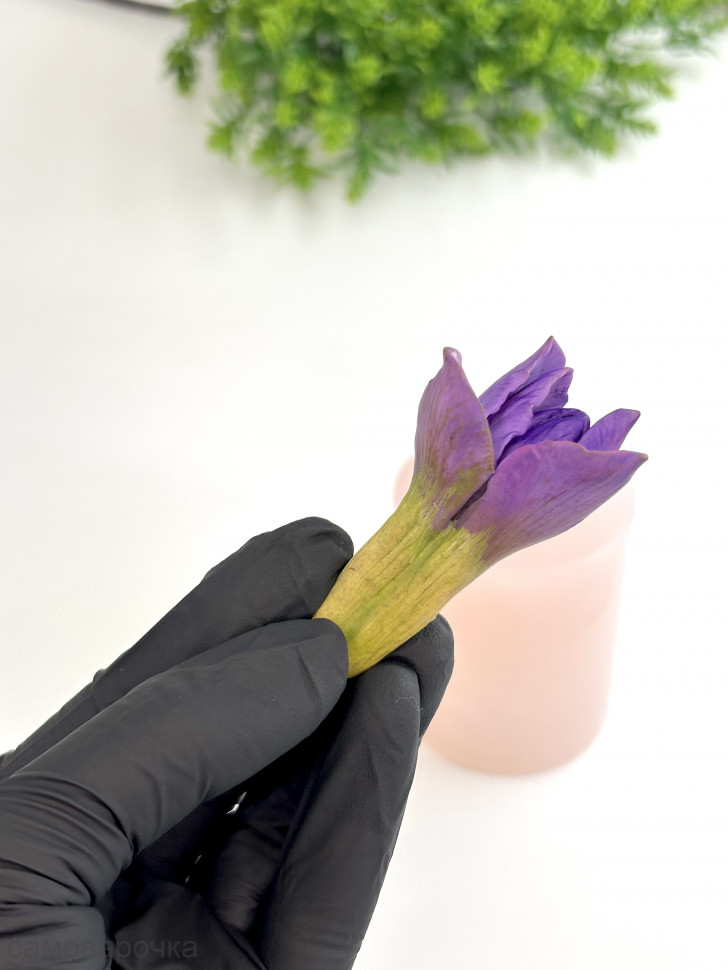 Бутон Ириса Султан форма силиконовая 3D - 