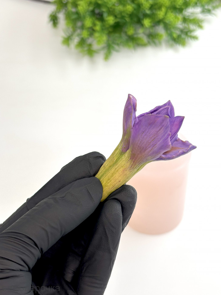 Бутон Ириса Султан форма силиконовая 3D - 