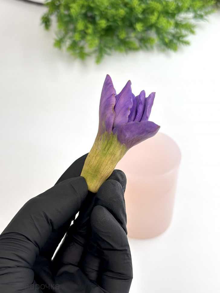 Бутон Ириса Султан форма силиконовая 3D - 