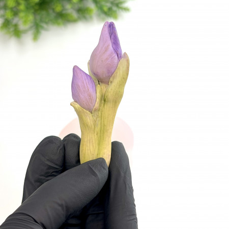 Бутоны ириса форма силиконовая 3D