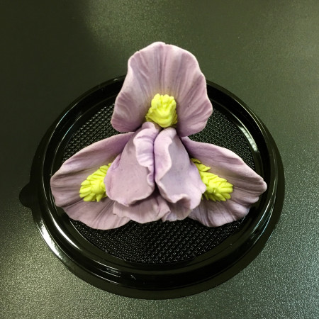 Ирис Силиконовая форма 3D Ирис Силиконовая форма 3D