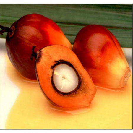 Масло пальмоядровое рафинированное Масло пальмоядровое рафинированное