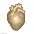 Живое сердце, форма для мыла пластиковая - Для мыла и шоколада