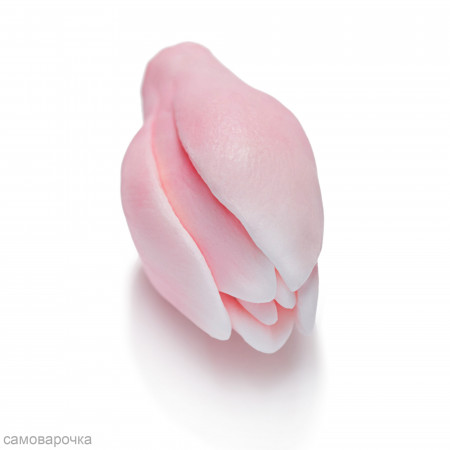 Бутон крокуса Силиконовая форма 3D*