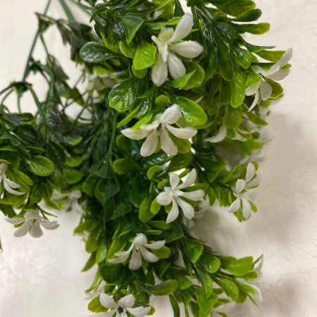 Морошка цветущая зелень искусствнная Морошка цветущая зелень искусствнная