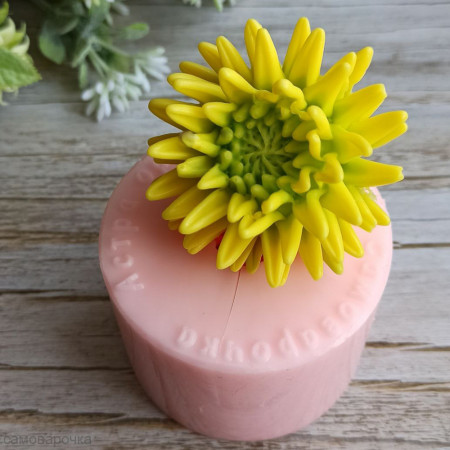 Астра оригинальная силиконовая форма 3D для мыла