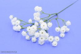 Кашка Дэя мини белая ​Зелень  искусственная 