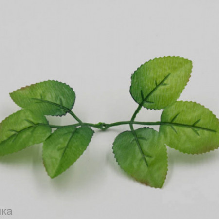 Листочки розы малые Вставки в букет 10 шт