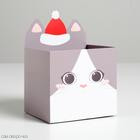 Коробка для мини букетов Котик 12*17*10 см Коробка для мини букетов Котик 12*17*10 см