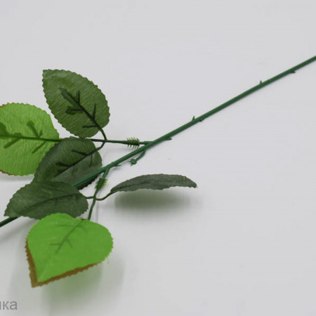 Стебель с листьями